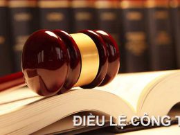 Không bắt buộc phải thay đổi điều lệ công ty khi Luật doanh nghiệp 2020 có hiệu lực