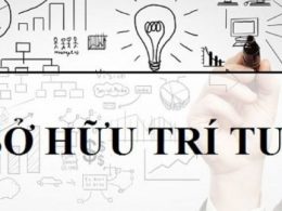 Đối tượng được bảo hộ quyền liên quan đến quyền tác giả