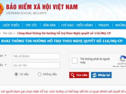 Cách tra cứu thông tin số tiền được hỗ trợ theo Nghị quyết 116/NQ-CP