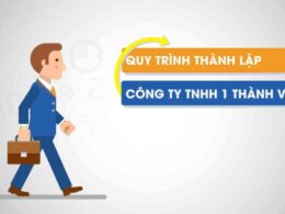 Quy định về công ty TNHH 1 thành viên