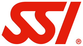 SSI