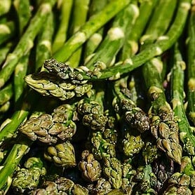 Asparagus crowns Guelph Millin - Image 1