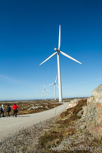 Vindkraft
