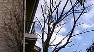 YUYU-003 WILD MISTRESS BREAKS IN HER FAVORITE MAIDS YUM