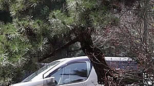 Amateur Milf Hardcore Fucking