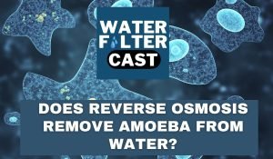 Does Reverse Osmosis Remove Amoeba from Water? 1 Does Reverse Osmosis Remove Amoeba from Water?