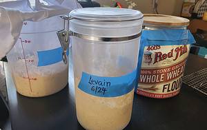sourdough starter