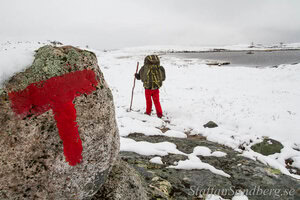 Vandrar i snö