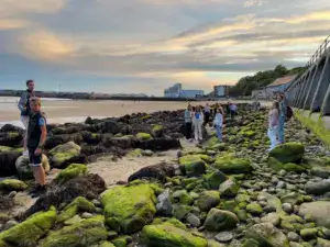 FHC-Sprachreisen - Strand in Folkestone/England