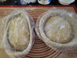 bulk fermentation