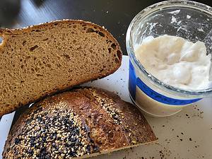 sourdough starter