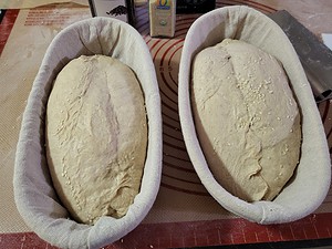dough proofing in bannetons
