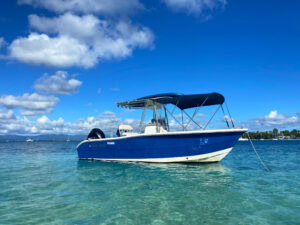 Bateau standard Seatrip Guadeloupe pour excursion privatisée ou petit comité