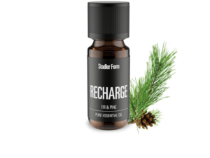 etherische-olie-spar-dennen
