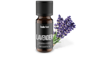 etherische-olie-lavendel