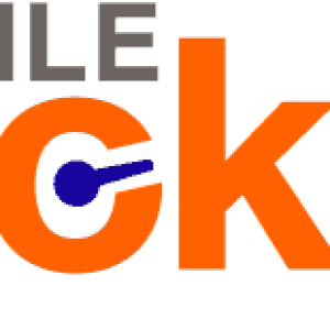 Agile Cockpit