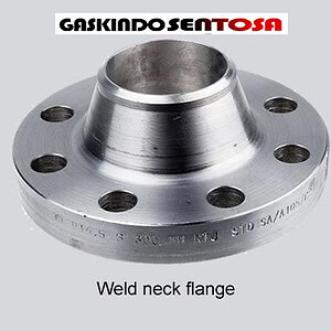 Jual welding neck flange, wn flange, flange wn carbon steel, flange wn stainless steel, Jual ASTM A182 F316L WN Flange RF 300 LB 6 Inch SCH 40 ANSI B16.5,  Harga Wn Flange RF 300 Lb Sch 40 ANSI B16.5,  Jual Flange wn WP304L, Jual Flange wn  WP304, Jual Flange wn WP316L, Jual Flange wn P316, Jual Flange wn F304L, Jual Flange wn F304, Jual Flange wn F316L, Jual Flange wn F316, Jual Flange wn  pn 16, Jual Flange wn  RTJ,  wn flange Stainless steel 304 316 ansi class 150 flange