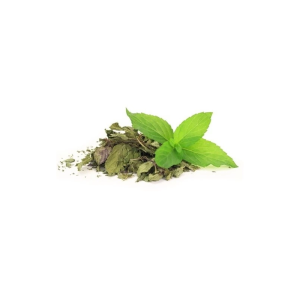 Herbstore Μέντα 40gr