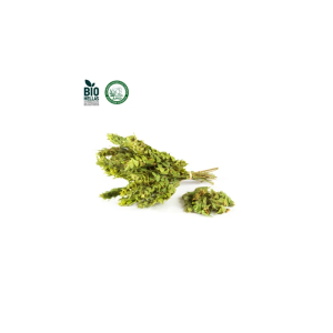 Herbstore Τσάι του Βουνού (Sideritis spp.) ΒΙΟ 65gr