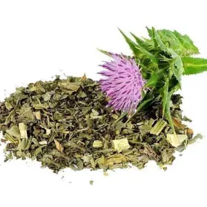 Herbstore Γαϊδουράγκαθο 60gr