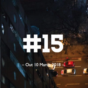 Issue Fifteen of Like the Wind Running Magazine