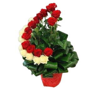 A festive holiday flowers arrangement featuring 24 fresh red and white roses with lush green foliage, elegantly arranged in a clear glass vase on a Christmas-themed table.
