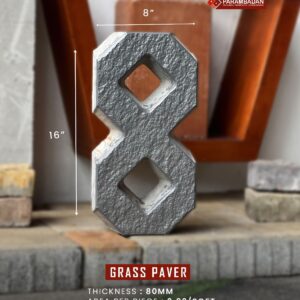 Grass Paver