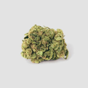 Guerilla Glue Cannabis Samen