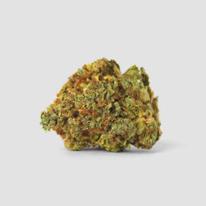 Power Plant Cannabis Samen
