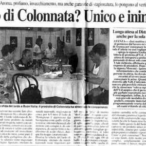 Giornali13