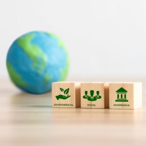 Corso Strategie e Innovazioni per l'Ambiente e la Società