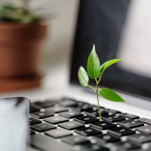 Corsi Sostenibilità delle imprese