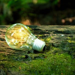 Corso Pratiche aziendali sostenibili: implementazione di economia verde e circolarità nelle imprese