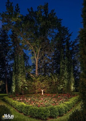 Lighting Landscape