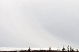 Chapter 17 Churchill Hudson Bay, Northern Territories #21