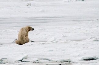 Chapter 17 Churchill Hudson Bay, Northern Territories #38