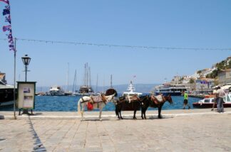 Hydra, Greece, Transportation, Donkey