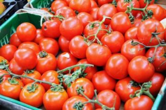 Chapter 6 Rome, the market #7