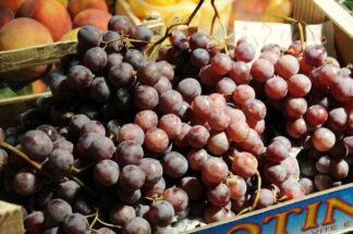 Chapter 6 Rome, the market #12
