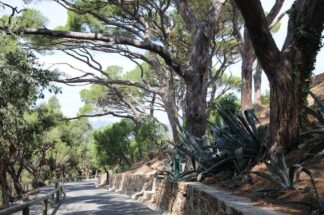 Chapter 7 St Tropez, France #34