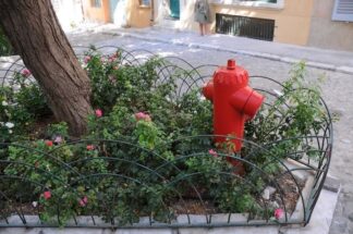 Chapter 7 St Tropez, France #37