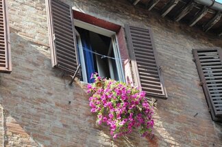 Chapter 8 Sienna, Italy #13