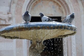 Chapter 8 Assisi, Italy #26