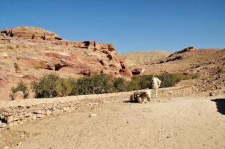 Chapter 20 Petra & Dead Sea Jordan