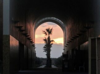 Marrakesh, Morocco, Palms, 2