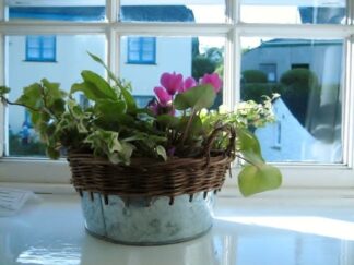 Cornwall, England. Flower Basket