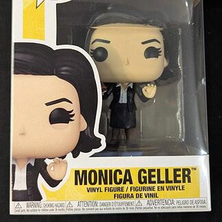 Pop TV Friends S6 Monica 1649