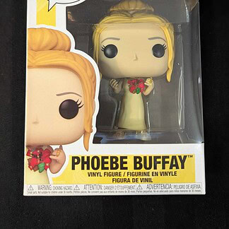 Pop TV Friends S6 Phoebe 1647