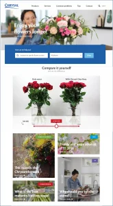 Chrysal website 2016