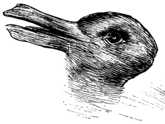 Rabbit and Duck